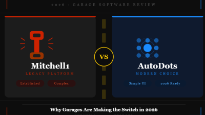 Mitchell1 vs AutoDots